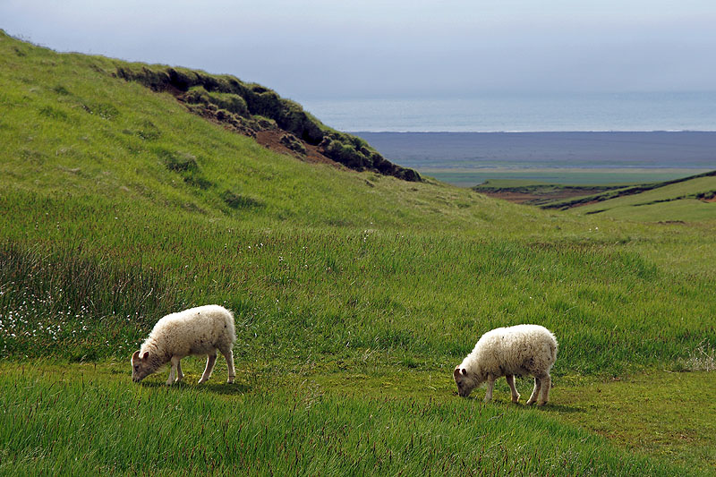 Skógafoss