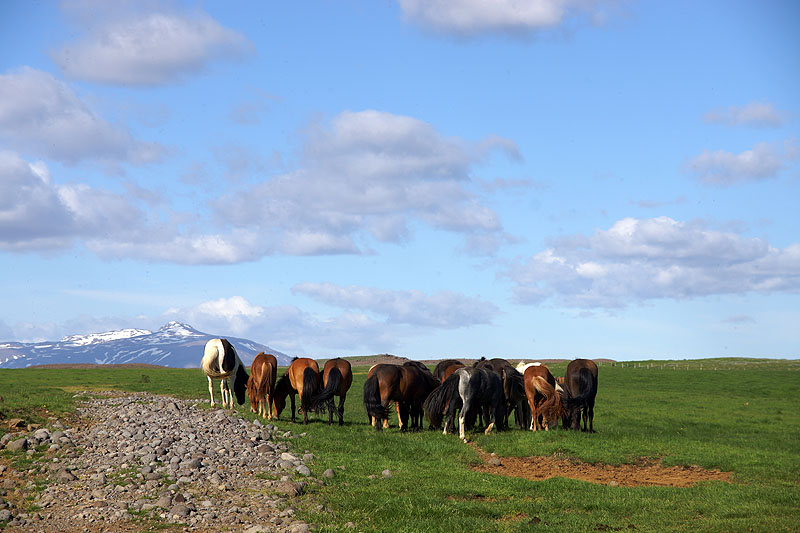 Entre Gullfoss et Geysir