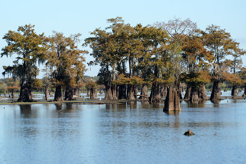 Bassin d Atchafalaya