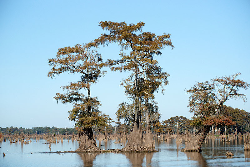 Bassin d Atchafalaya