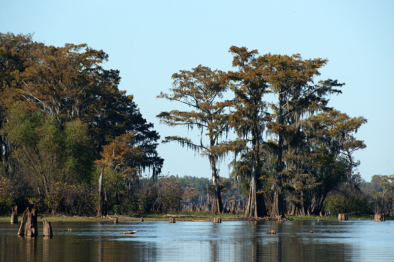 Bassin d Atchafalaya