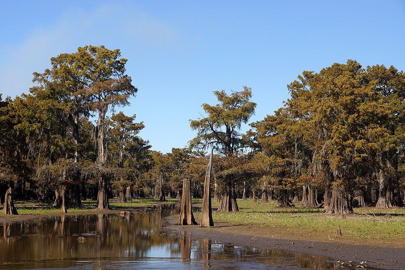 Bassin d Atchafalaya