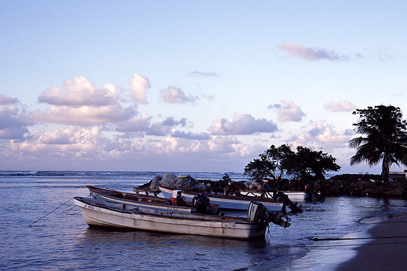 La Caravelle