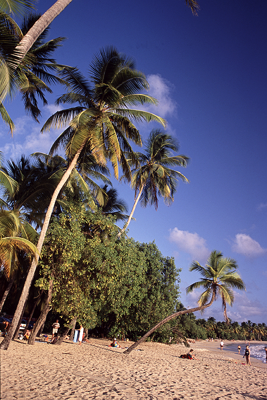 Plage des Salines