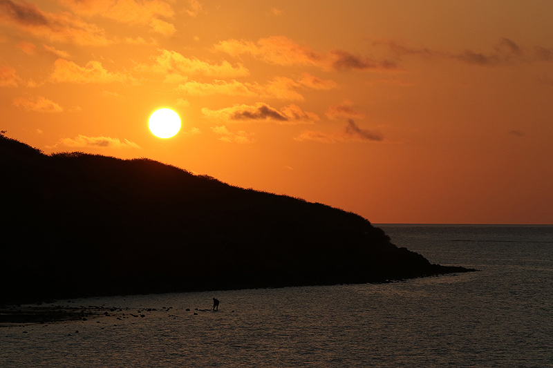 Ile Rodrigues