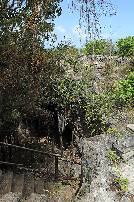 Ile Rodrigues
