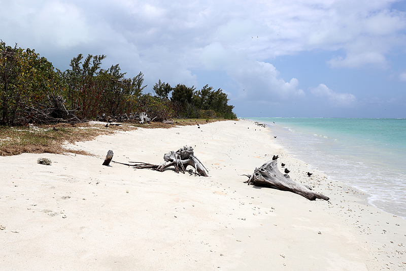 Ile aux Cocos
