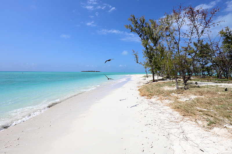 Ile aux Cocos