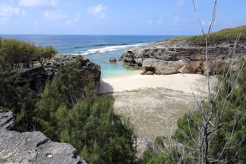 Ile Rodrigues