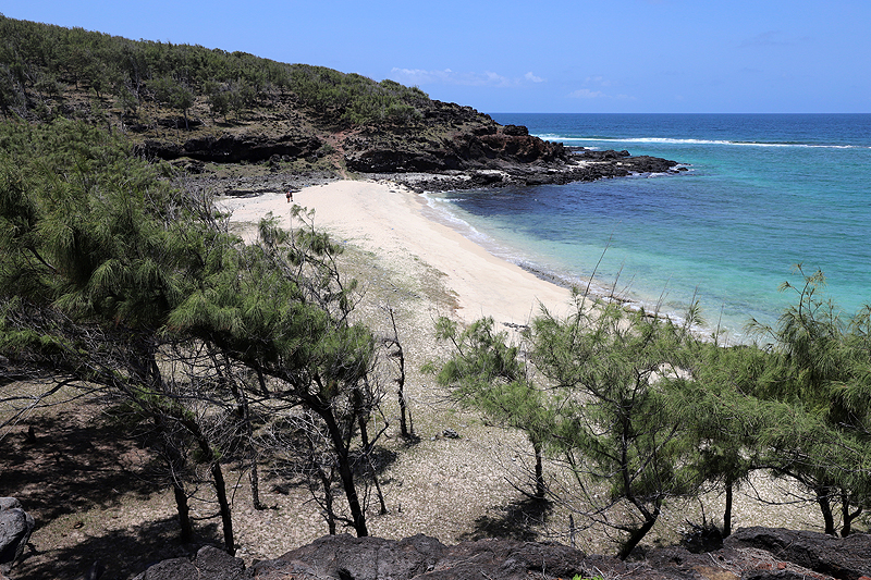 Ile Rodrigues