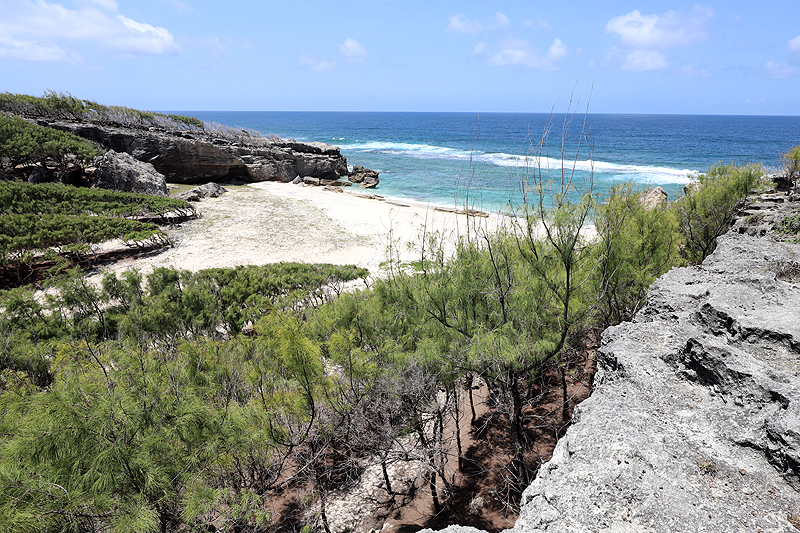 Ile Rodrigues