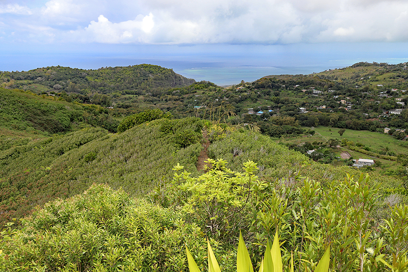 Ile Rodrigues