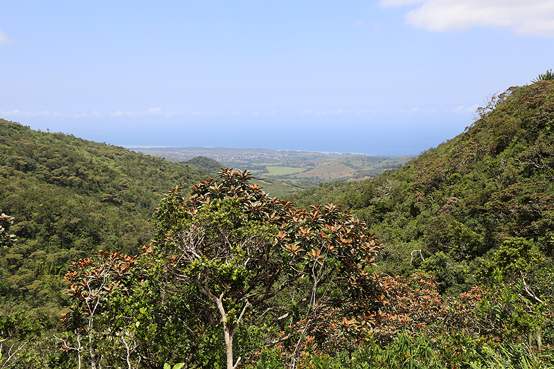 Ile Maurice