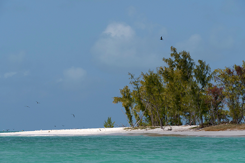 Ile aux Cocos