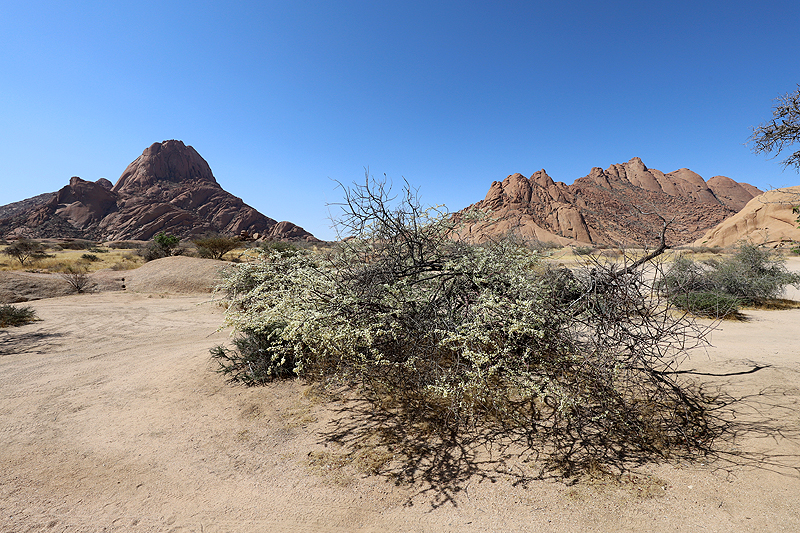 Spitzkoppe
