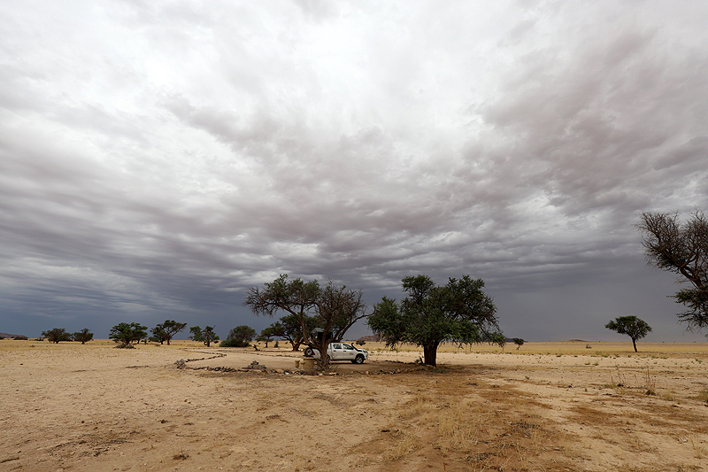 Namib-Naukluft