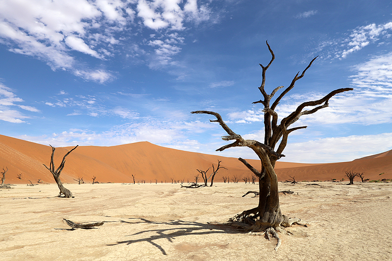 Sossusvlei