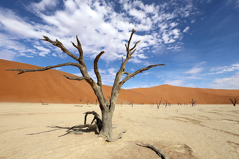 Sossusvlei