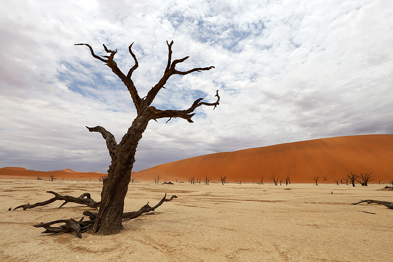 Sossusvlei