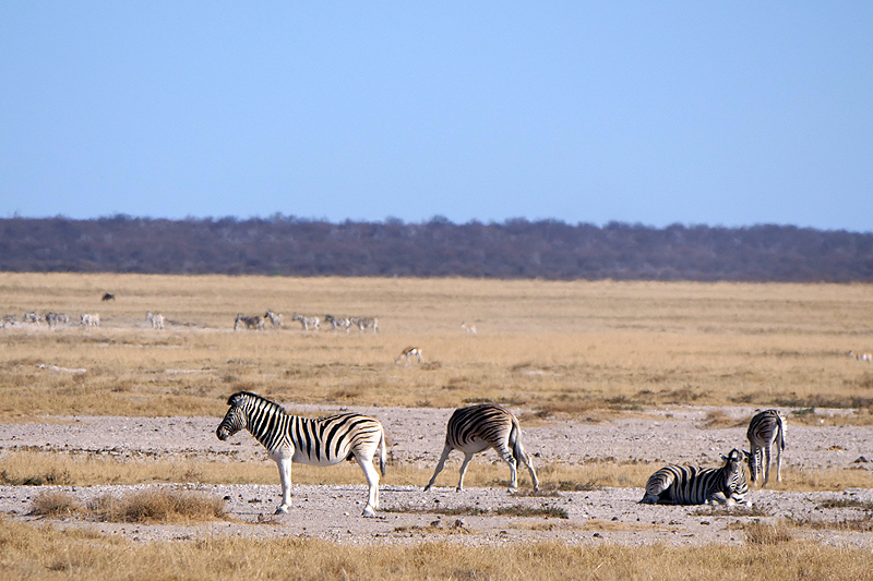 Environs de Namutoni