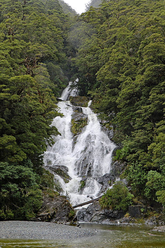 [q]Fantail Falls[q]