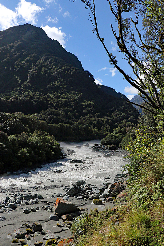 [q]Fox Glacier South Side walk[q]