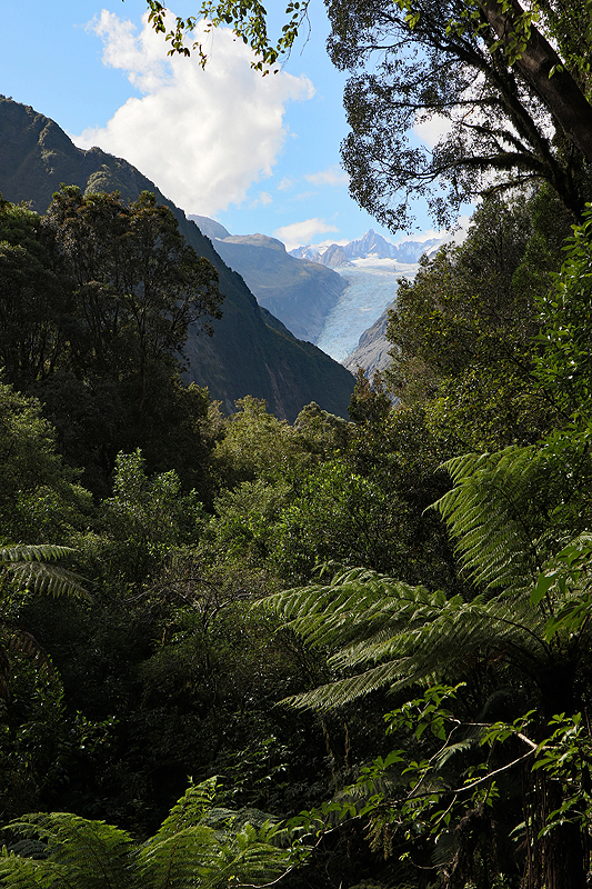 [q]Fox Glacier South Side walk[q]
