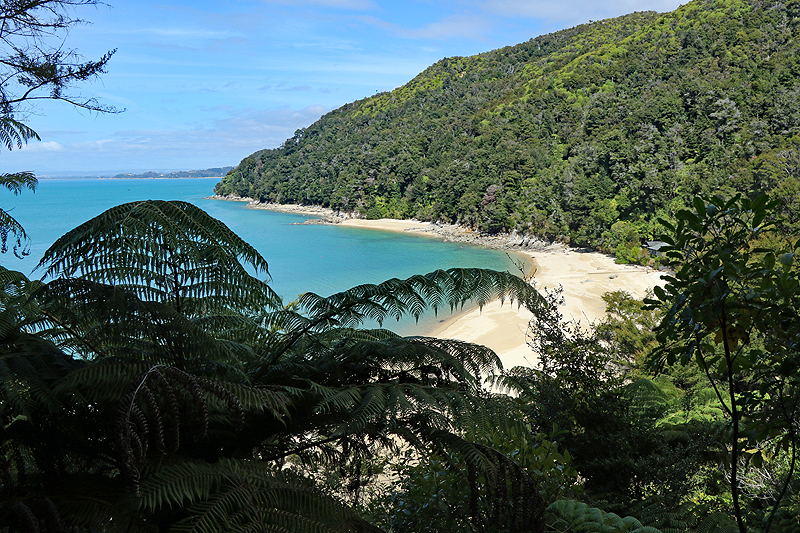 [q]Abel Tasman Coast Track[q]