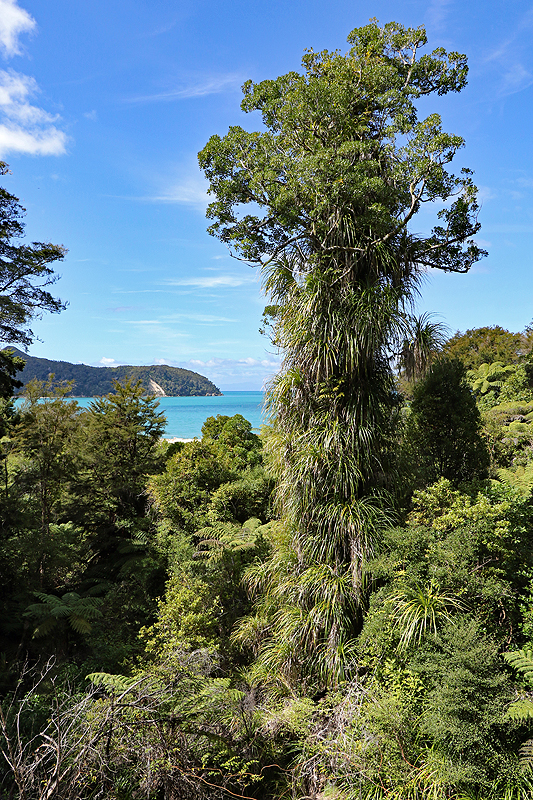 [q]Abel Tasman Coast Track[q]