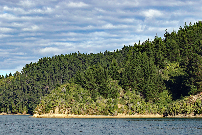 [q]Queen Charlotte Sound[q]