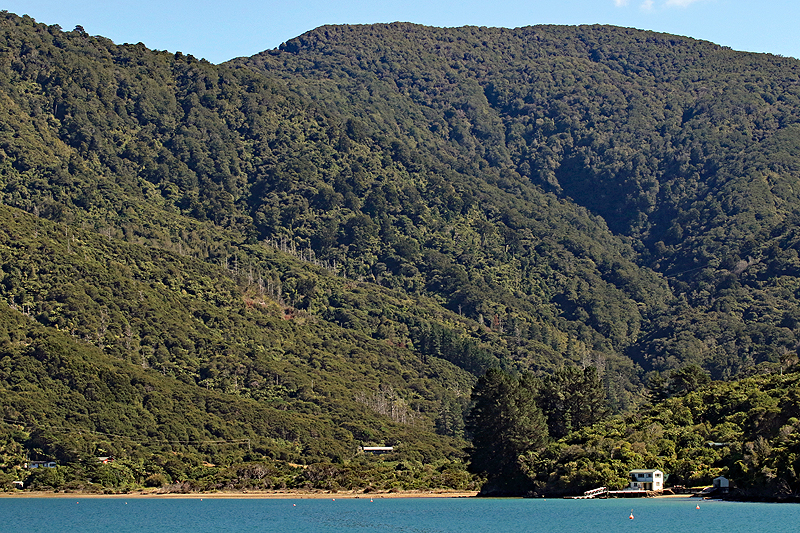 [q]Queen Charlotte Sound[q]