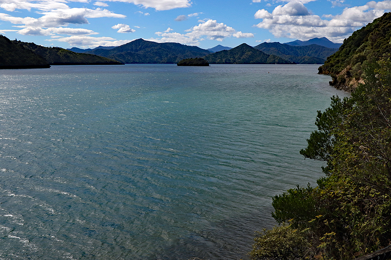 [q]Queen Charlotte Sound[q]