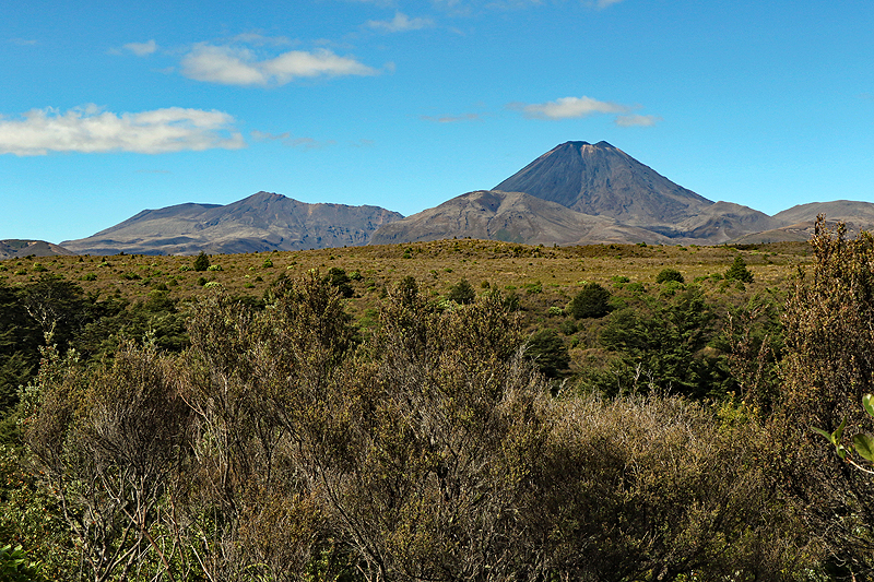 Whakapapa