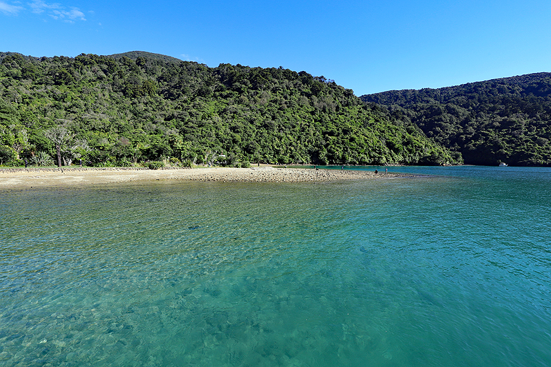 [q]Queen Charlotte Sound[q]