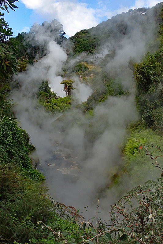 [q]Waikite Valley Hot Pools[q]
