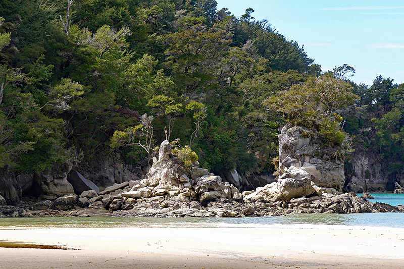 [q]Abel Tasman Coast Track[q]