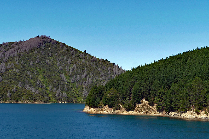 [q]Queen Charlotte Sound[q]