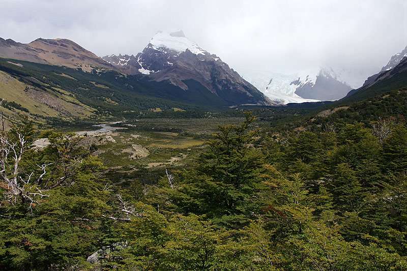 Randonnée [q]Laguna Torre[q]