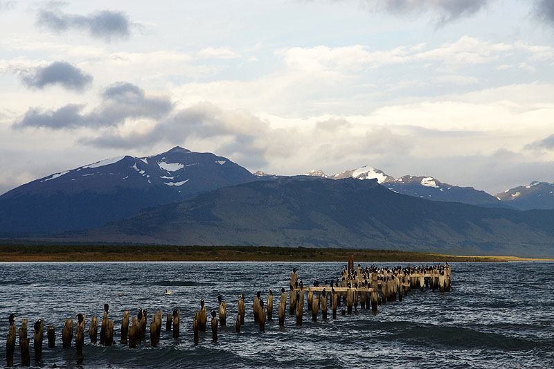 Puerto Natales