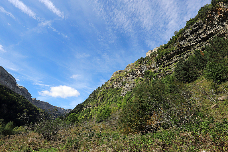 Vallée d Ordesa (P.N.)