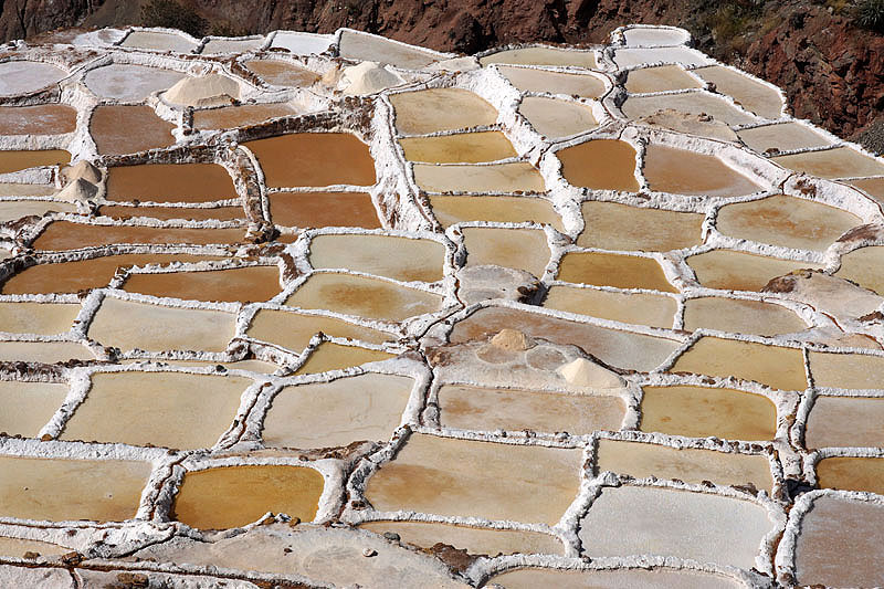 Maras