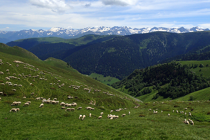 Le Mont Né - Fin de randonnée, retour dans la vallée