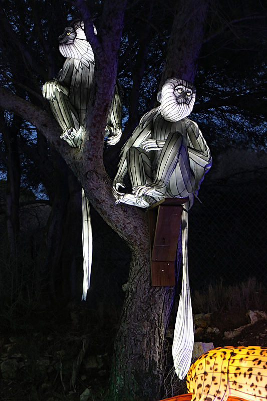 Lumières Africaines ! - Lanternes à la réserve africaine de Sigean