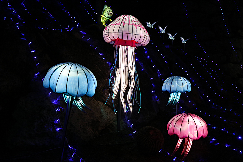 Lumières Africaines ! - Lanternes à la réserve africaine de Sigean