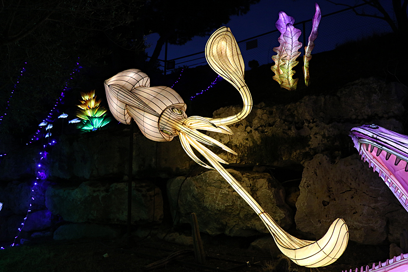 Lumières Africaines ! - Lanternes à la réserve africaine de Sigean