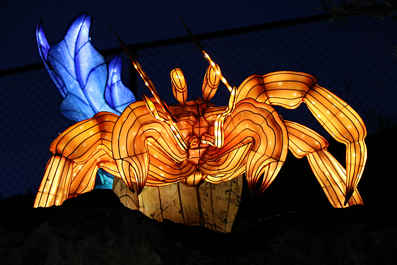 Lumières Africaines ! - Lanternes à la réserve africaine de Sigean