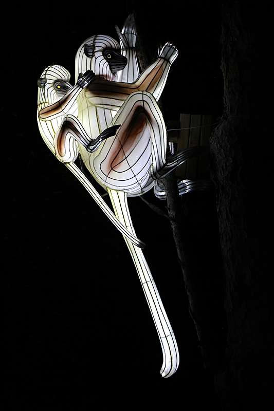 Lumières Africaines ! - Lanternes à la réserve africaine de Sigean