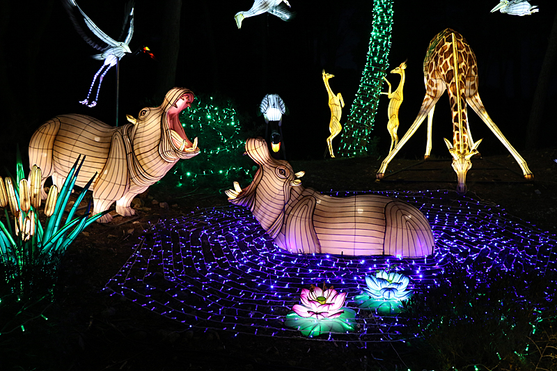Lumières Africaines ! - Lanternes à la réserve africaine de Sigean