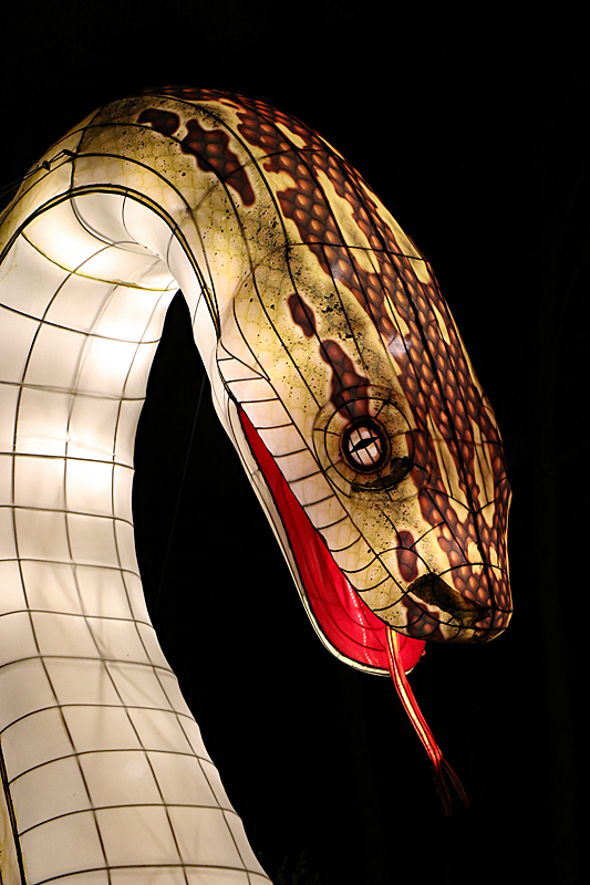 Lumières Africaines ! - Lanternes à la réserve africaine de Sigean