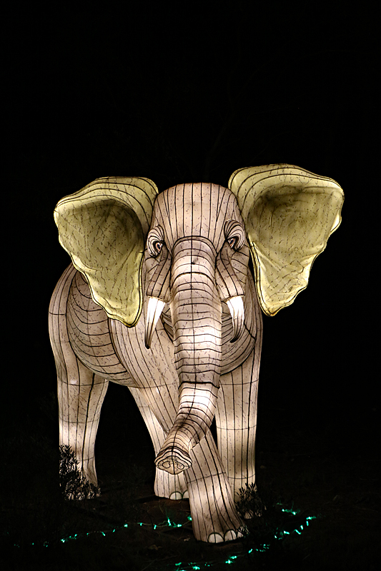 Lumières Africaines ! - Lanternes à la réserve africaine de Sigean